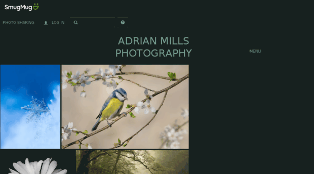 adrianmillsphotography.com