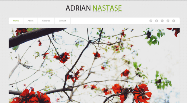 adriannastase.com