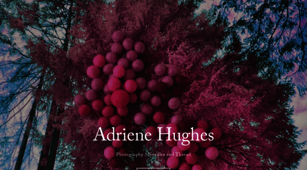 adrienehughes.com