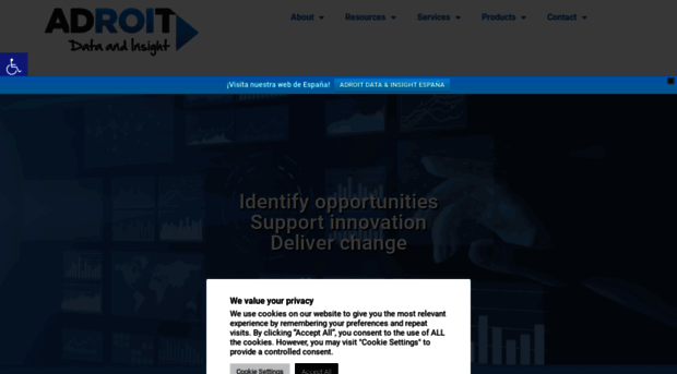 adroitinsight.com