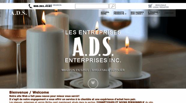 adsenterprisesinc.com