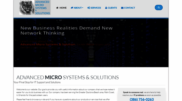 advancedmicrosys.com