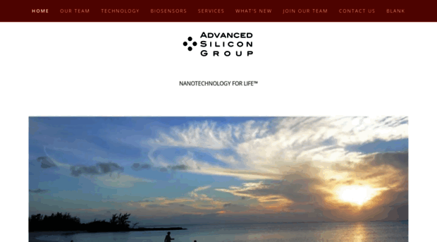 advancedsilicongroup.com