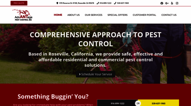 advantagepestnorcal.com