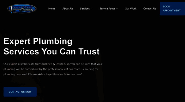 advantageplumbingrooter.com