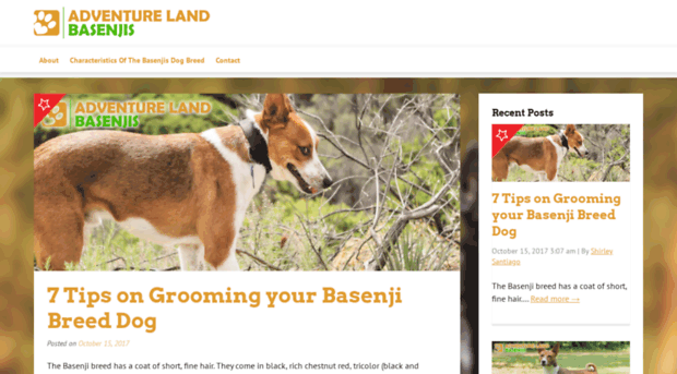 adventurelandbasenjis.com