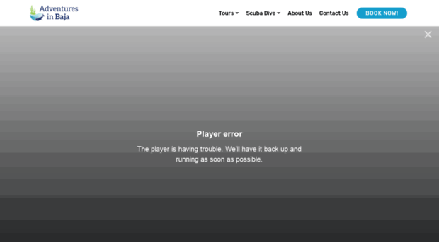 adventuresinbaja.com