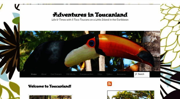 adventuresintoucanland.com