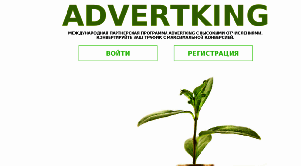 advertking.ru