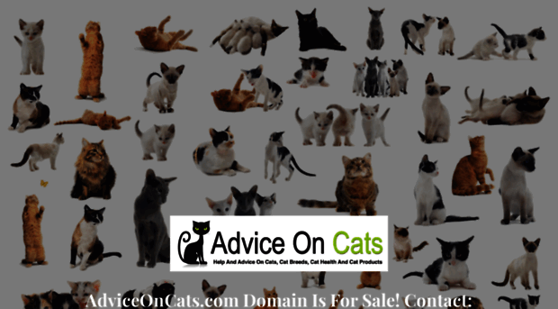 adviceoncats.com