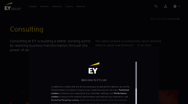 advisory.ey.com