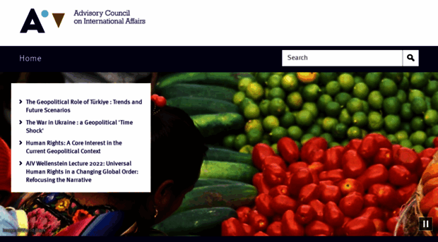 advisorycouncilinternationalaffairs.nl