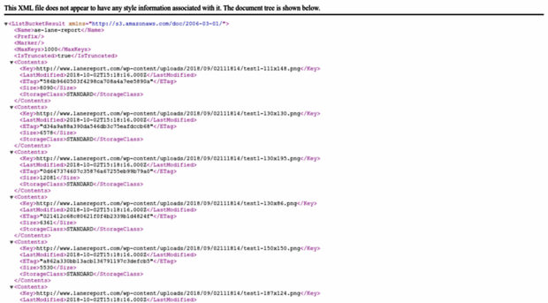 ae-lane-report.s3.amazonaws.com