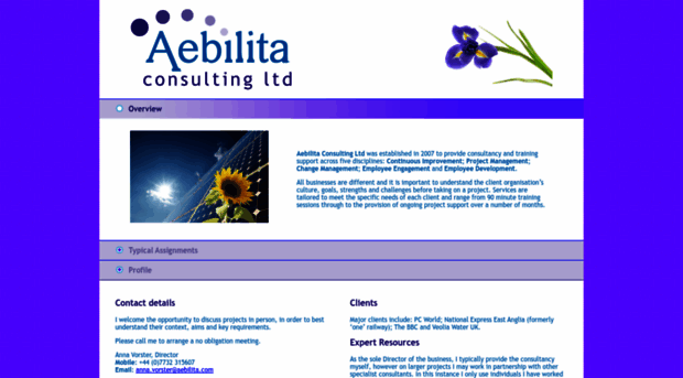 aebilita.com