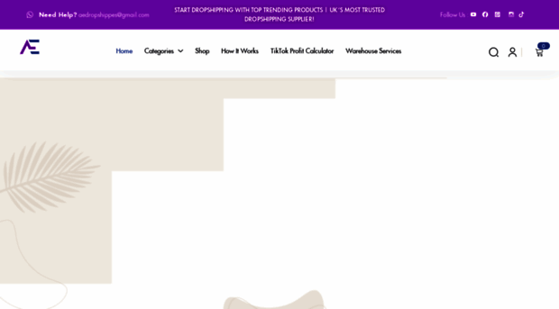 aedropshippes.com