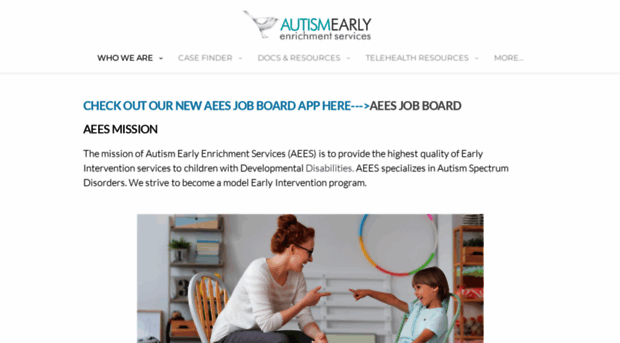 aees.us.com