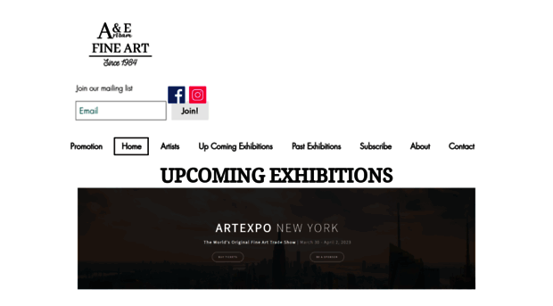 aefineartgallery.com