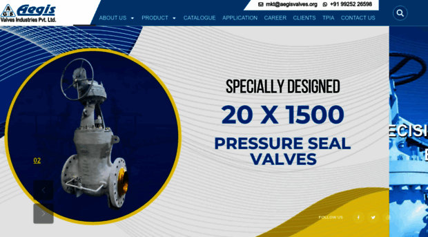 aegisvalves.org