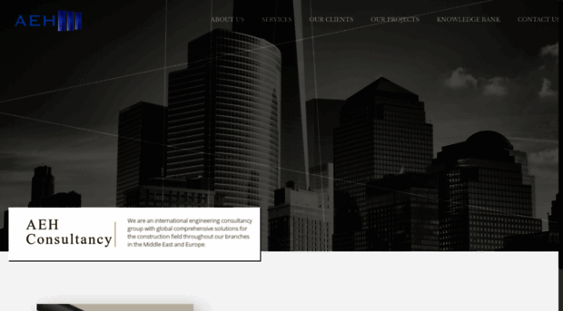 aehconsultancy.com