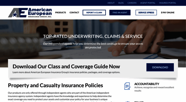 aeiginsurance.com