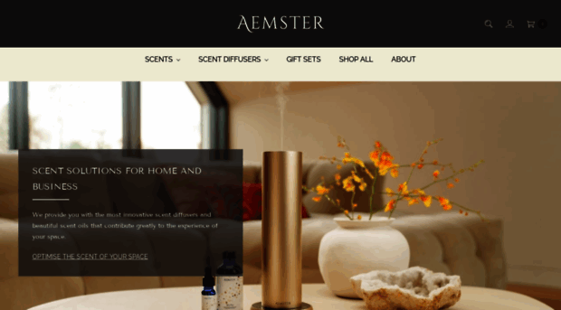 aemster.com