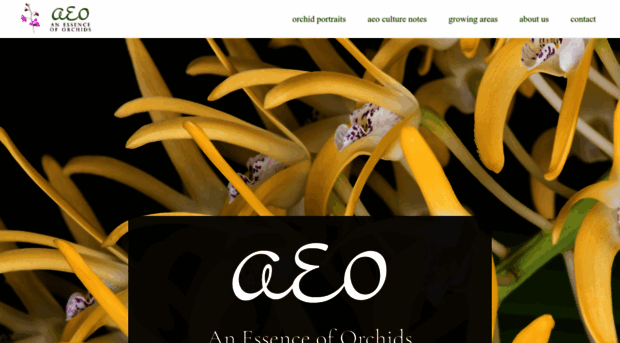 aeorchids.com