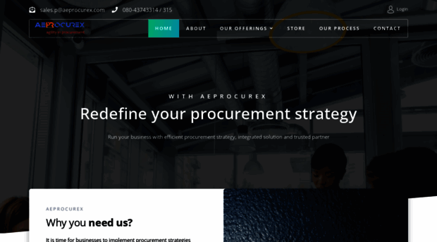 aeprocurex.com