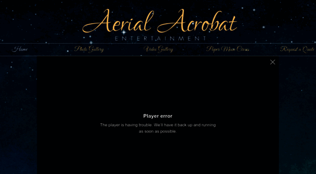 aerialacrobatentertainment.com