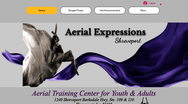 aerialexpressionsshreveport.com