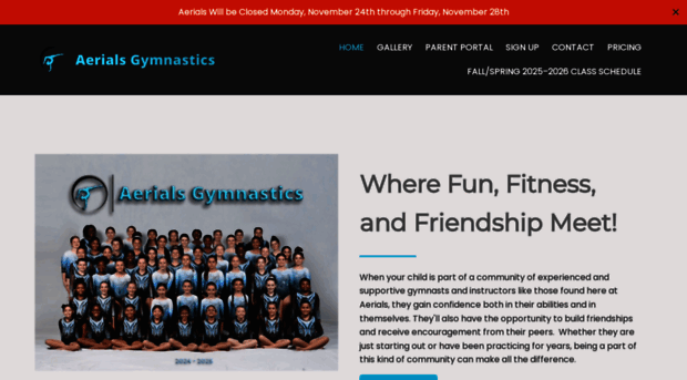 aerialsgymnastics.net