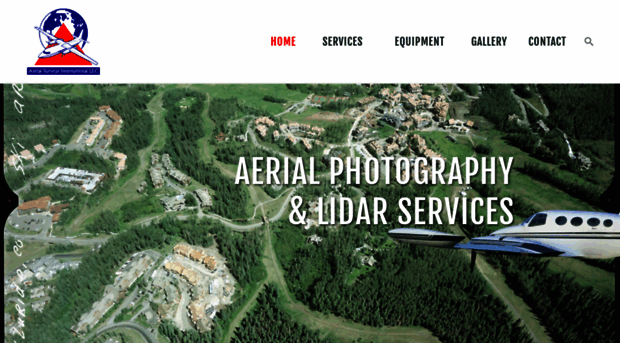 aerialsurveysintl.com