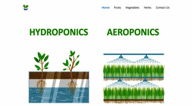 aeroponicsvshydroponics.com