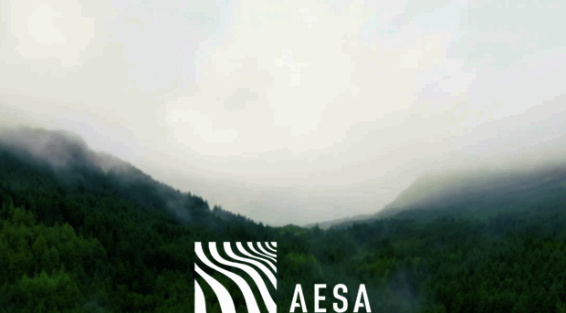 aesagroup.eu
