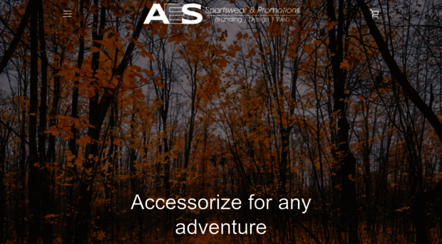 aessportswear.com