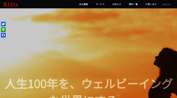 aesta.co.jp