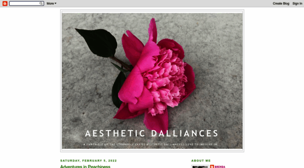 aestheticdalliances.blogspot.com