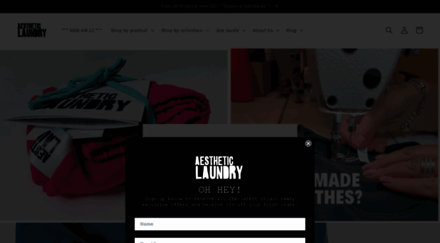 aestheticlaundry.com