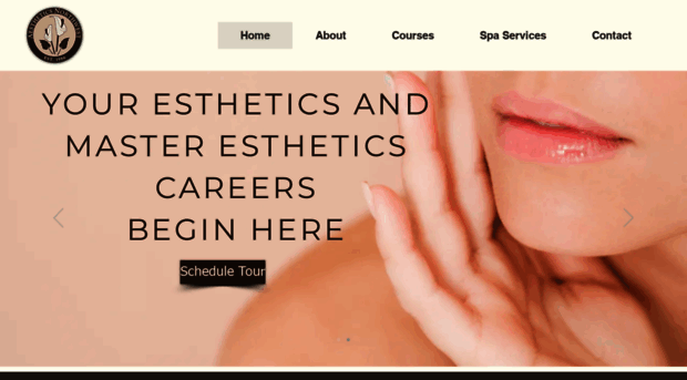 aestheticsnw.com