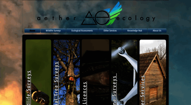 aetherecology.com