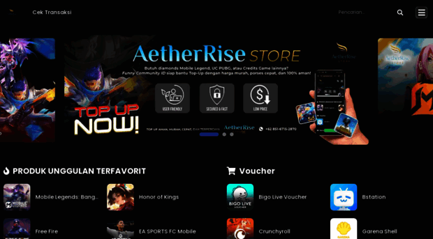 aetherrisestore.com