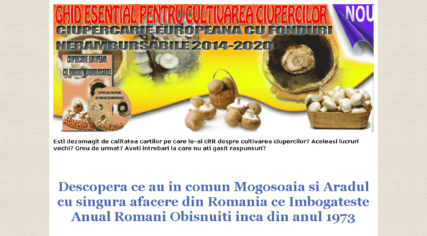 afaceri-ciuperci.ro