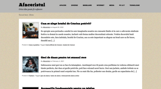 afaceristul.com