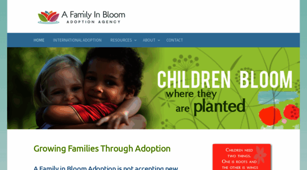 afamilyinbloomadoption.com