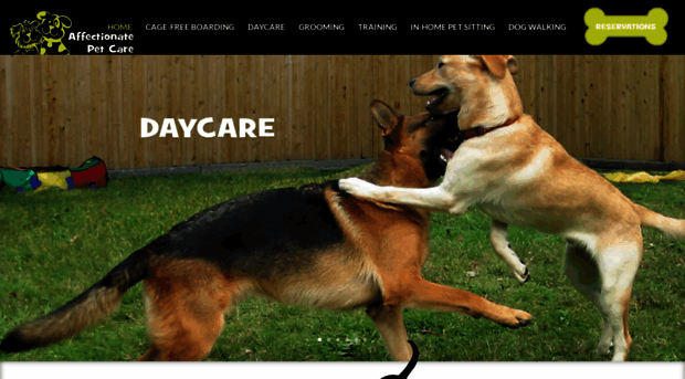 affectionatepetcare.com