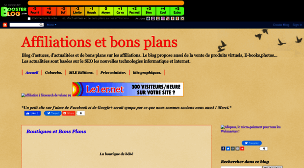 affiliations-et-bons-plan.boosterblog.com