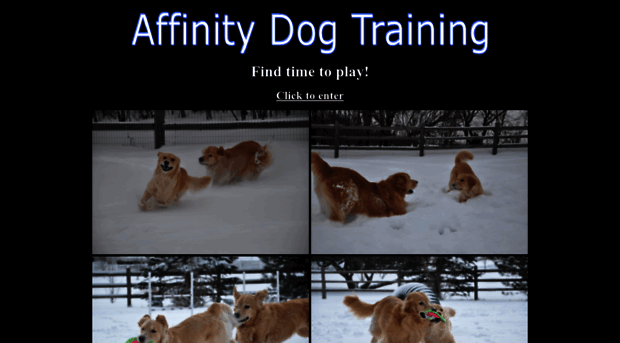 affinitydogtraining.com