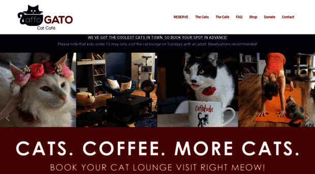 affogatocatcafe.com