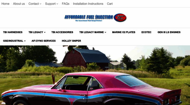 affordable-fuel-injection.com