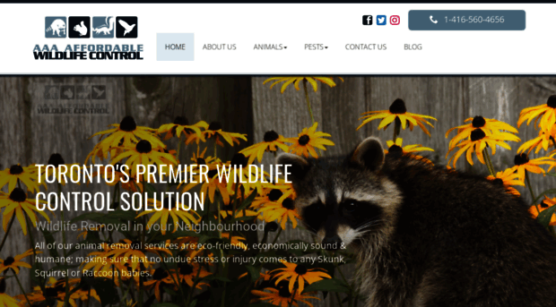 affordable-wildlife-control.com