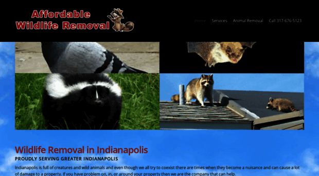 affordablewildliferemoval.com